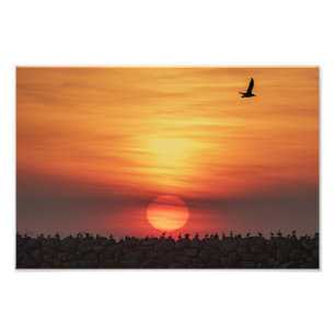 Beaitiful Sunset Colors - Marina Del Rey, CA Photo Print