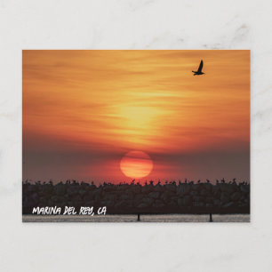 Beaitiful Sunset Colors - Marina Del Rey, CA  Postcard