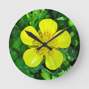 Beaming Buttercup Flower. Round Clock