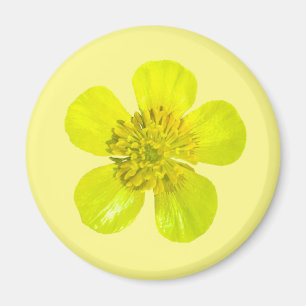 Beaming Buttercup Flower - transparent. Magnet