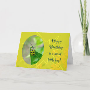 Bean Beetle Little Boy Birthday Card