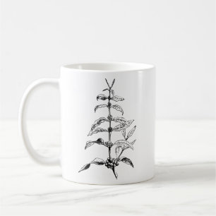Bean Coffee Plant Botanical Coffee Nature  Mug