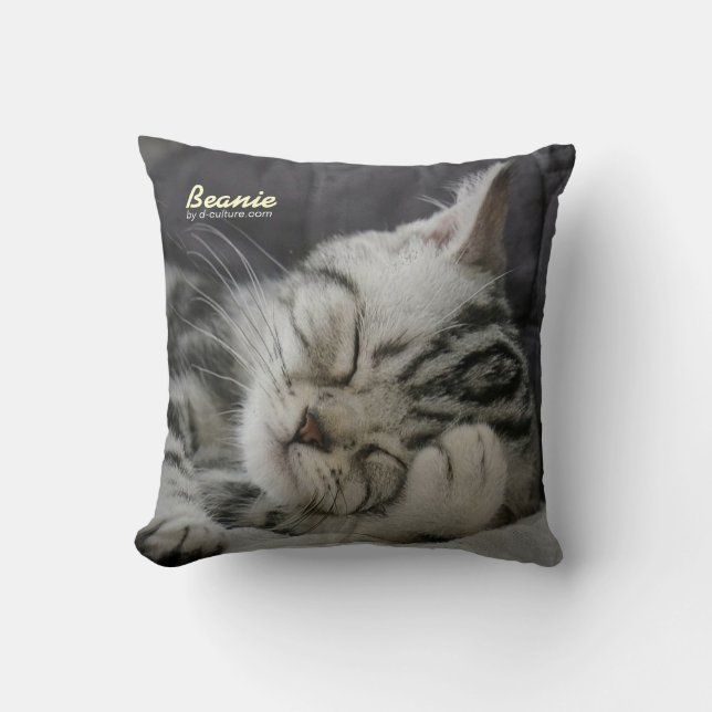 Beanie Pillow (Front)