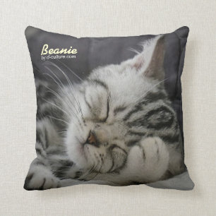Beanie Pillow