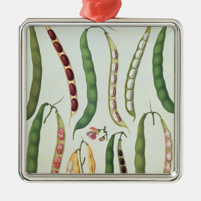 Beans Metal Ornament (Front)