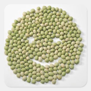 Beans, Soybean, Food Square Sticker