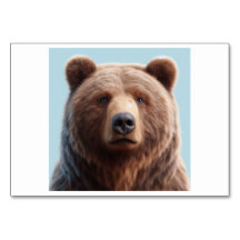 Bear (熊 / くま) - Japanese Flash Cards