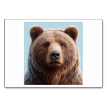 Bear (熊 / xióng) - Chinese Flash Cards