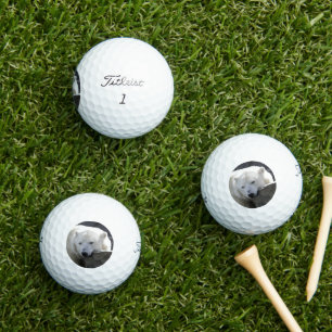 Bear 002 golf balls