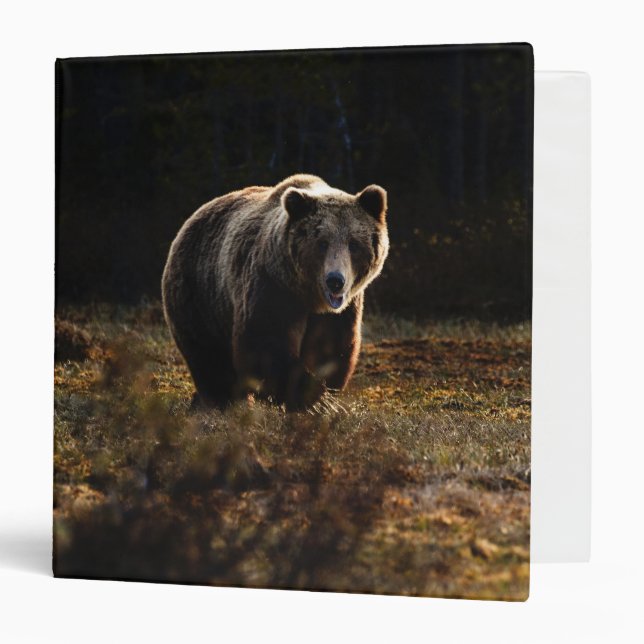 Bear 3 Ring Binder (Front/Inside)