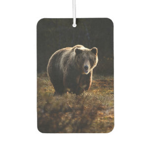 Bear Air Freshener
