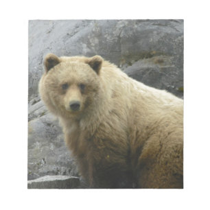 Bear Alaska Animals Destiny Nature Notepad