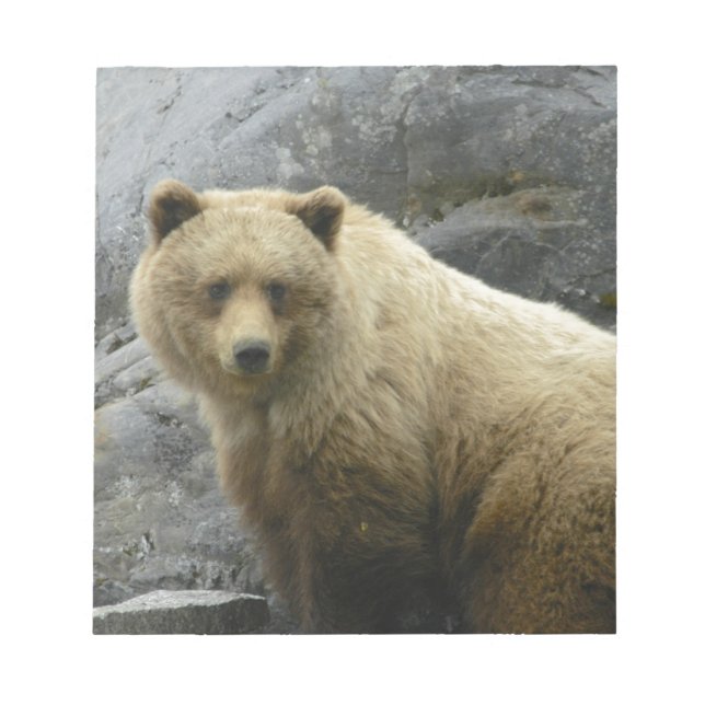 Bear Alaska Animals Destiny Nature Notepad (Front)