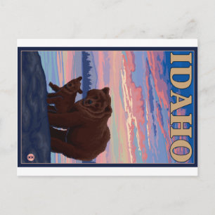 Bear and Cub - Idaho Postcard