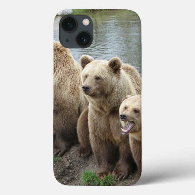 Bear bears animal custom personalize Anniversaries Case-Mate iPhone Case (Back)