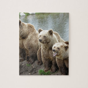 Bear bears animal custom personalize Anniversaries Jigsaw Puzzle