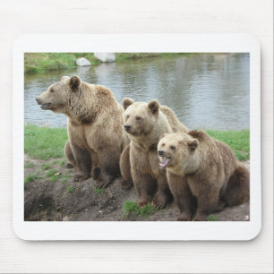 Bear bears animal custom personalize Anniversaries Mouse Pad