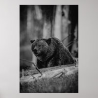 Bear Black White Photo Modern Rustic Cabin