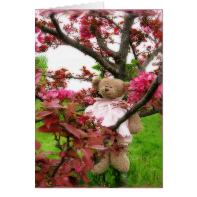 Bear Blossoms (Front)