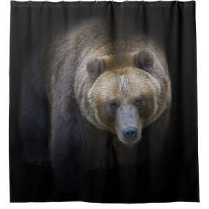 Bear Brown Grizzly Animal Life Wild Jungle Forest