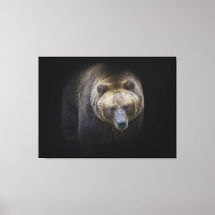 Bear Brown Grizzly Animal Life Wild Jungle Forest Canvas Print