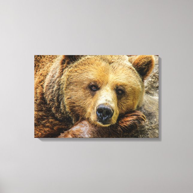 Bear Canvas Print (Front)