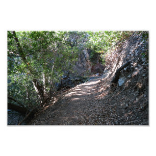 Bear Canyon Campground Photo Print