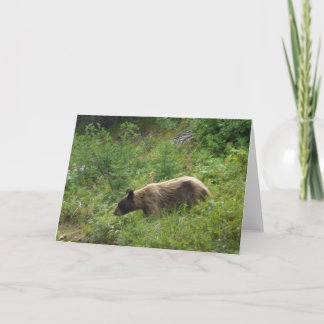 Bear Card