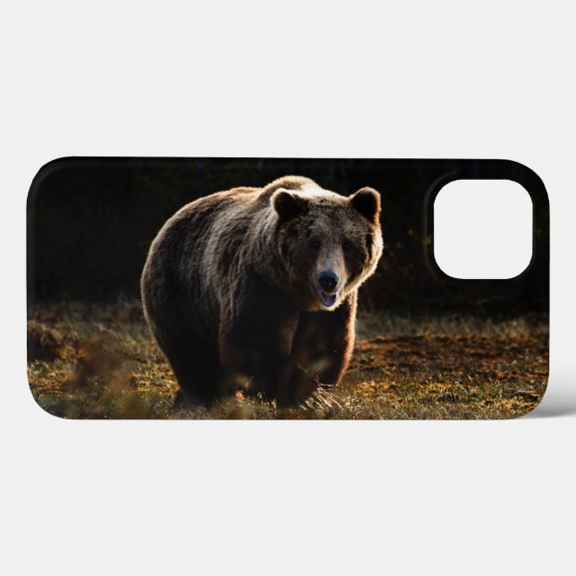 Bear Case-Mate iPhone Case (Back (Horizontal))