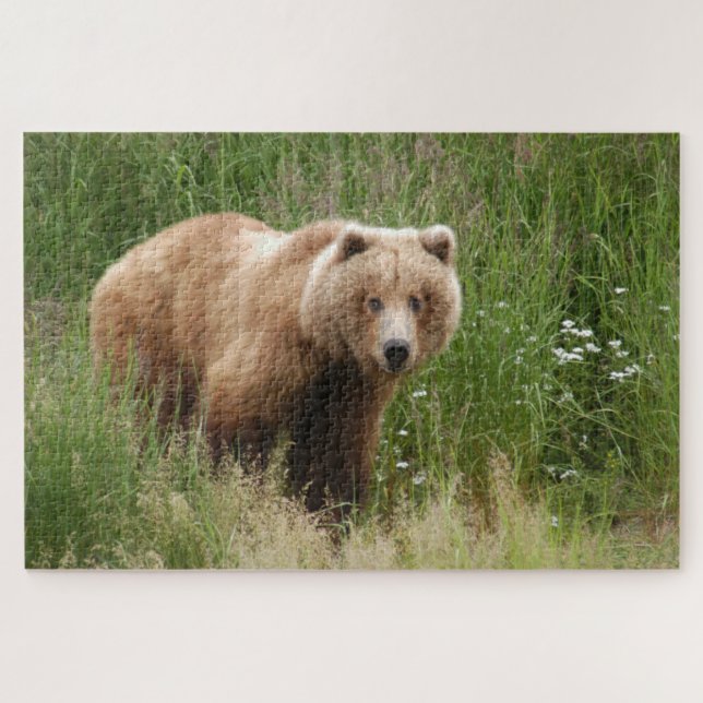 Bear closeup, Brooks Falls Alaska  Jigsaw Puzzle (Horizontal)
