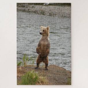 Bear closeup, Brooks Falls Alaska  Jigsaw Puzzle