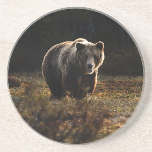 Bear Coaster