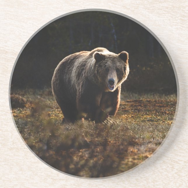 Bear Coaster (Front)