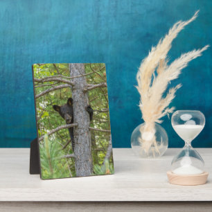 Bear Cub Climbing Tree Plaque