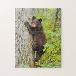 Bear Cub in Tree Jigsaw Puzzle