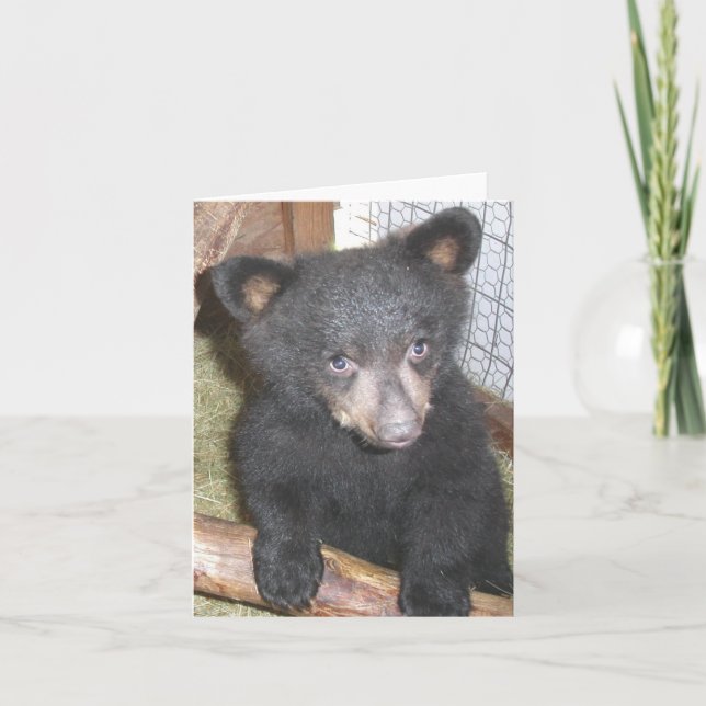 Bear Cub Note Card (Front)