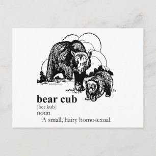 BEAR CUB POSTCARD
