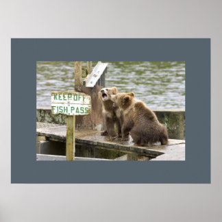 Bear Cubs Keepsake Memories Love Destiny Destiny's Poster