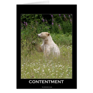 Bear Design for Animal and Wildlife-Supporters