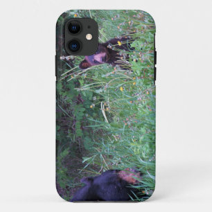 Bear Design for Animal and Wildlife-Supporters iPhone 11 Case