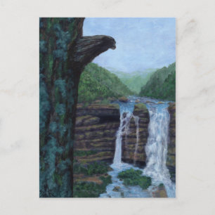 Bear Falls Painting Postcard