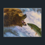 BEAR FISH WILD ANIMAL POSTCROSSING POSTCARD<br><div class="desc">POSTCARD BEAR FISH WILD ANIMAL POSTCROSSING</div>