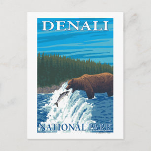 Bear Fishing in River - Denali National Park, Postcard