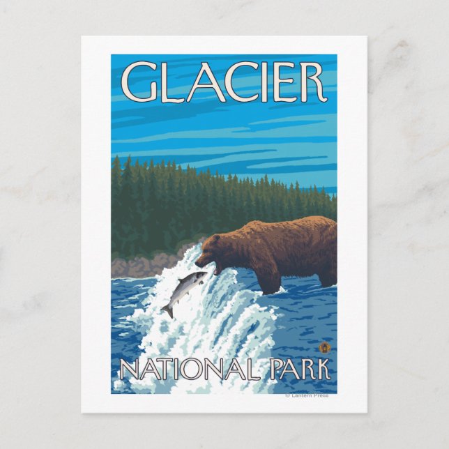 Bear Fishing in River - Glacier National Park, Postcard (Front)