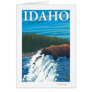 Bear Fishing in River - Idaho