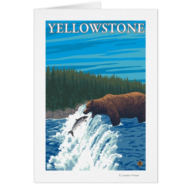 Bear Fishing in River - Yellowstone National (Front)