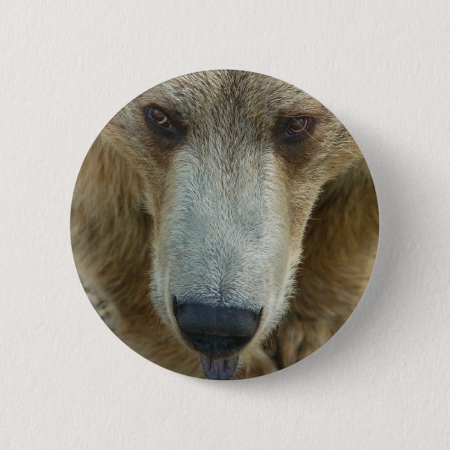 Bear Flair 2 Inch Round Button (Front)