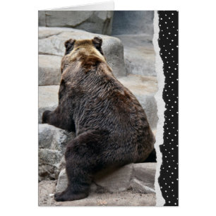 Bear for Get Well Bientôt