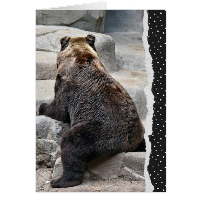 Bear for Get Well Soon (Front)