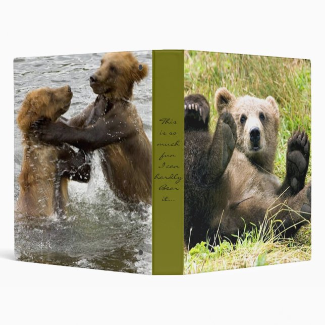 Bear fun binder (Background)